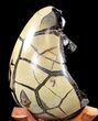 Septarian Dragon Egg Geode - Crystal Filled #37300-4